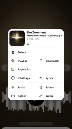 Poweramp Music Player