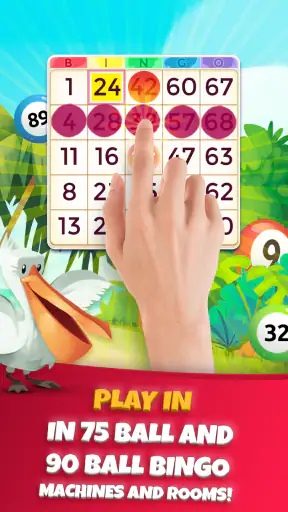 Praia Bingo - Bingo Games