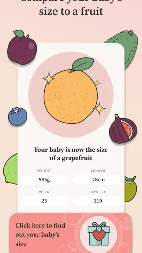 Preglife - Pregnancy Tracker