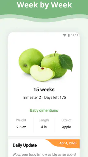 Pregnancy App