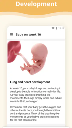Pregnancy App