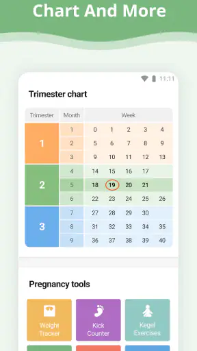 Pregnancy App