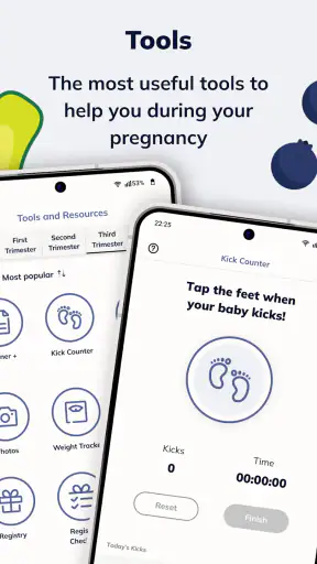 Pregnancy App & Baby Tracker