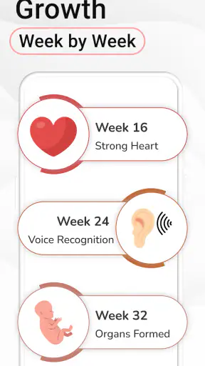 Pregnancy Calculator: Due Date
