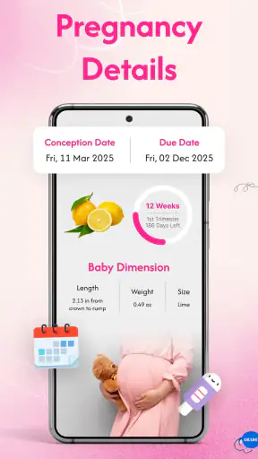 Pregnancy Tracker & Calculator