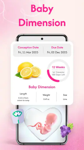 Pregnancy Tracker & Calculator