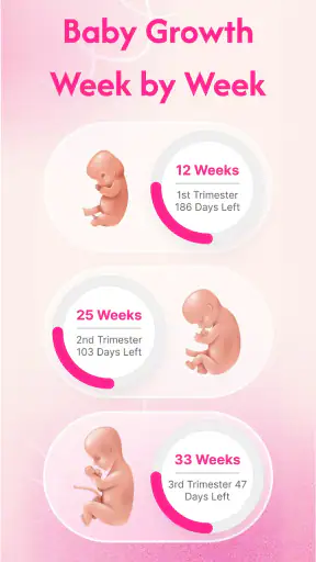 Pregnancy Tracker & Calculator