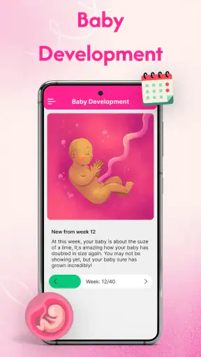 Pregnancy Tracker & Calculator