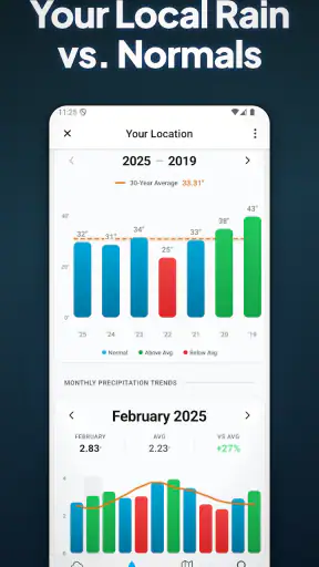 RainDrop: Virtual Rain Gauge
