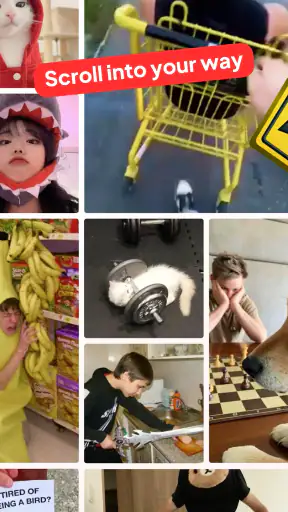 Reelway: feel-good clips