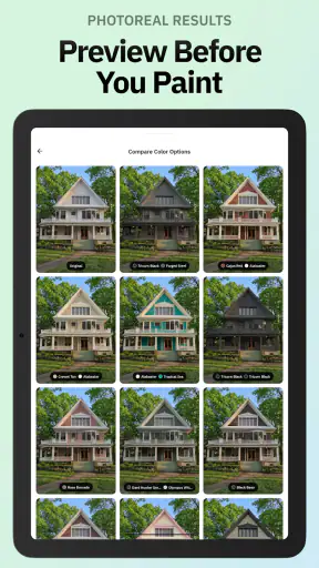 Repaint House Paint Visualizer