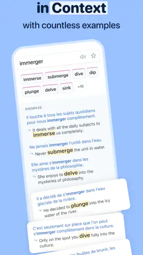 Reverso Translate and Learn