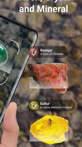 Rock Identifier: Stone ID