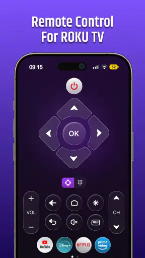 Roku Remote Control & TV Cast