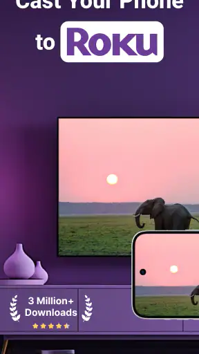 Roku Screen Mirror & Cast TV