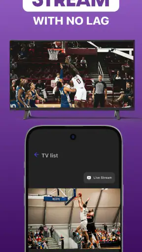 Roku Screen Mirror & Cast TV
