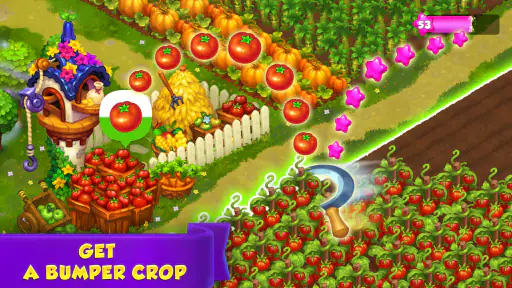 Royal Farm