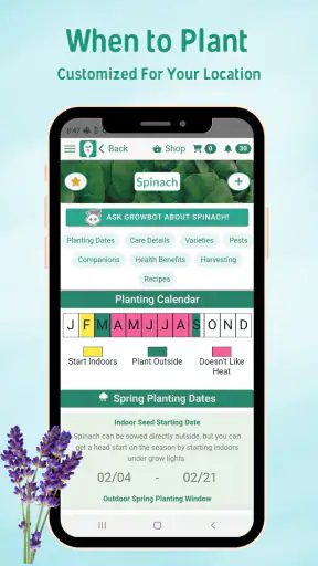 Seed to Spoon - Garden Planner