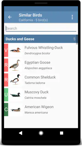 Sibley Birds 2nd Edition