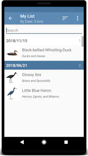 Sibley Birds 2nd Edition