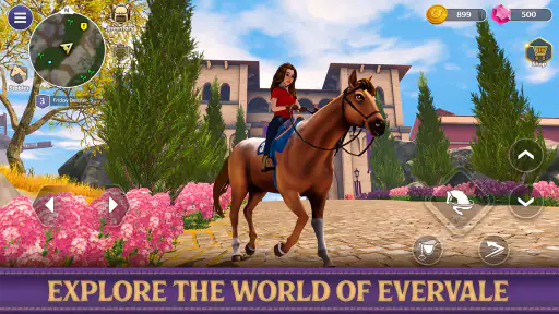 Star Equestrian - Horse Ranch