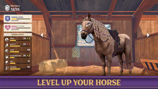 Star Equestrian - Horse Ranch