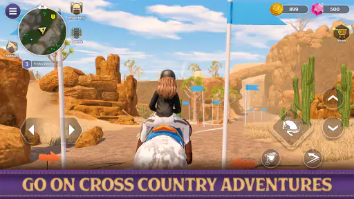 Star Equestrian - Horse Ranch
