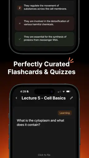 Studley: AI Study Tutor