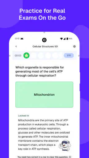 StudyFetch: AI Tutor