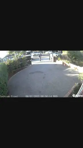 Swann Security