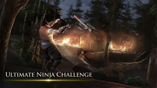Takashi Ninja Samurai Game