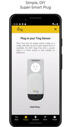 Ting