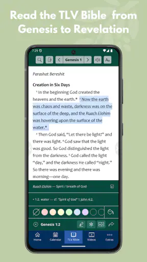 TLV Bible