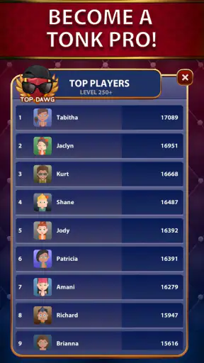 Tonk Star Classic Card Game