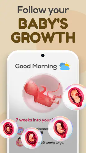 Track pregnancy & baby growth