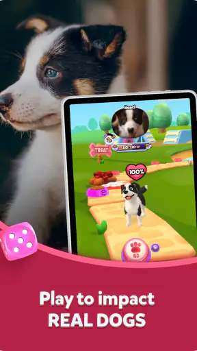TREAT: Play & impact REAL dogs