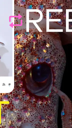 Tumblr: Social Media & Art