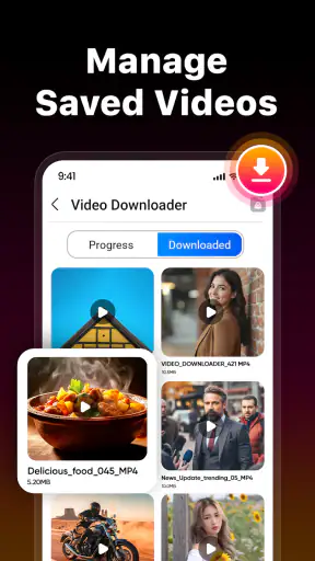 Video Downloader & Launcher