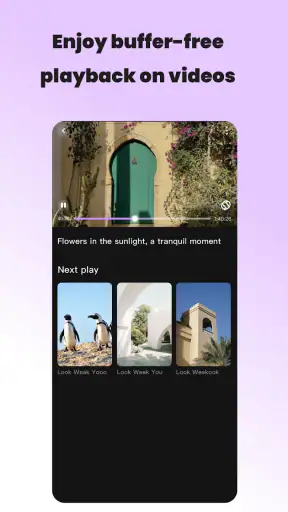 Vidzy-Well Organized