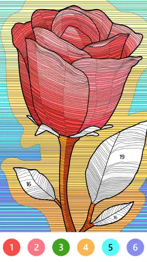 Vivid Color Paint By Number