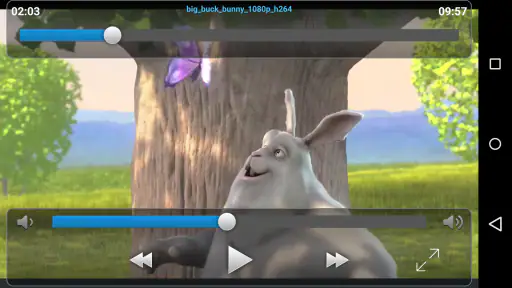 VLC Streamer