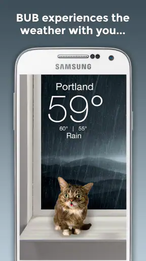 Weather BUB