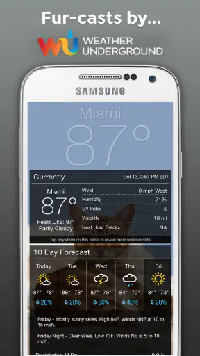 Weather BUB