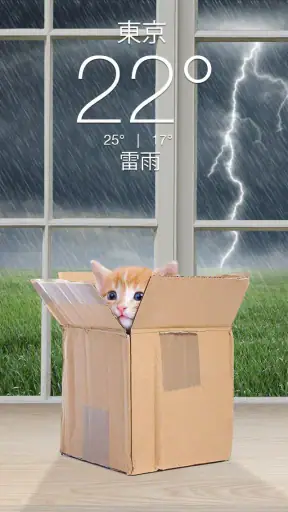 Weather Kitty - App & Widget