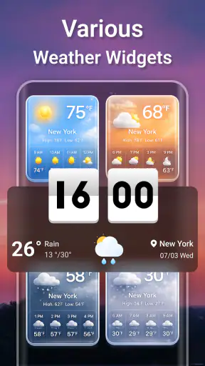Weather & News : Radar, Alerts