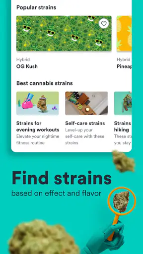 Weedmaps: Buy Local Weed