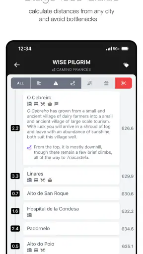 Wise Pilgrim Camino Francés
