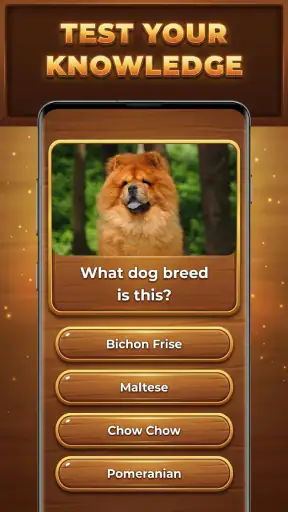 Wood Quiz Blast: Trivia Blocks