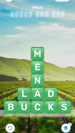 Word Games: CrossWord & Search