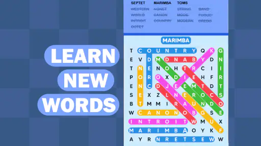 Word Search Puzzle Challenge